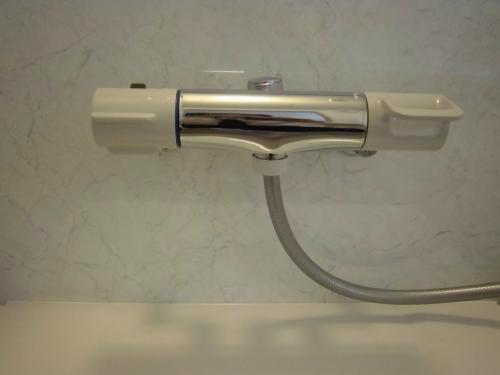 Other. Easy to use even basin because the crank-less faucet! 