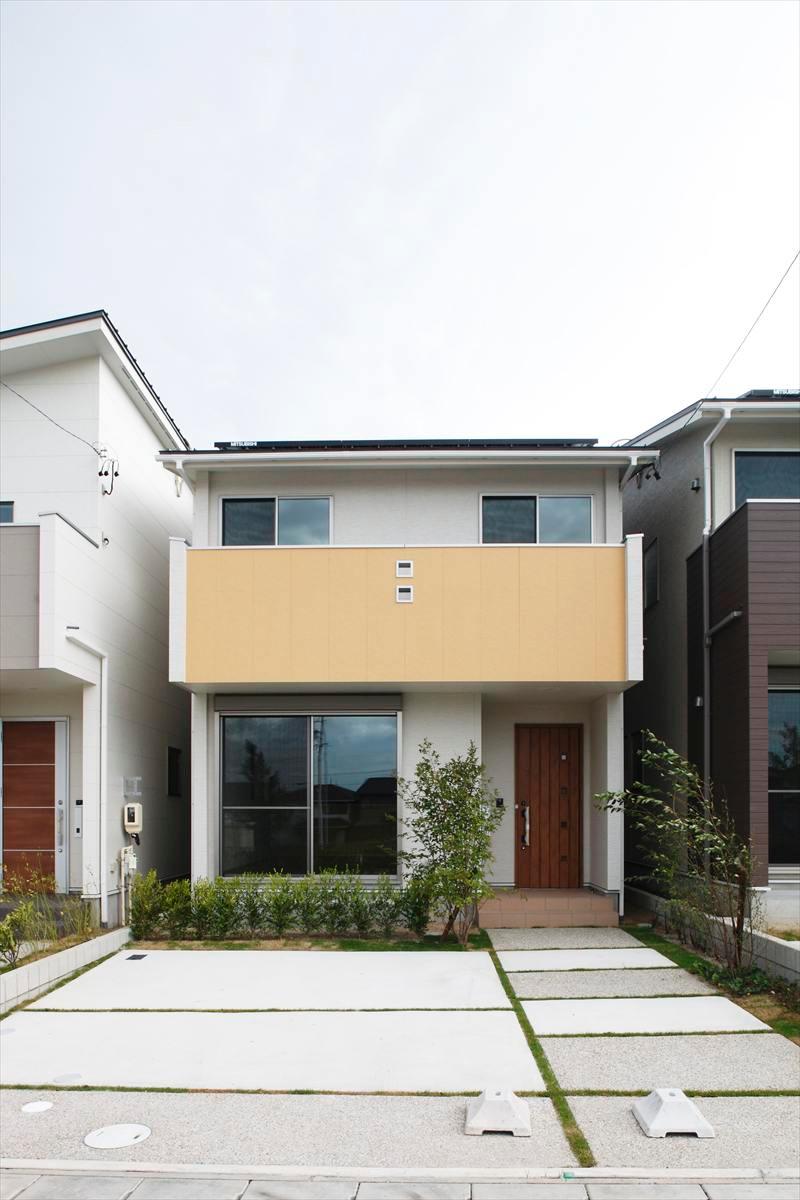 Local appearance photo. L Togaikan photo