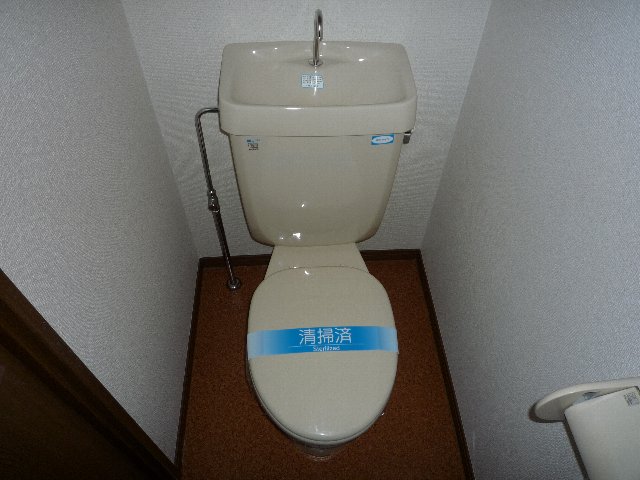Toilet. Glad to woman, Bus toilet by