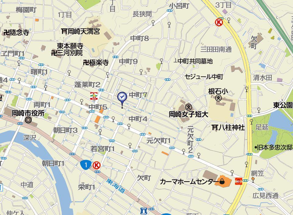 Local guide map