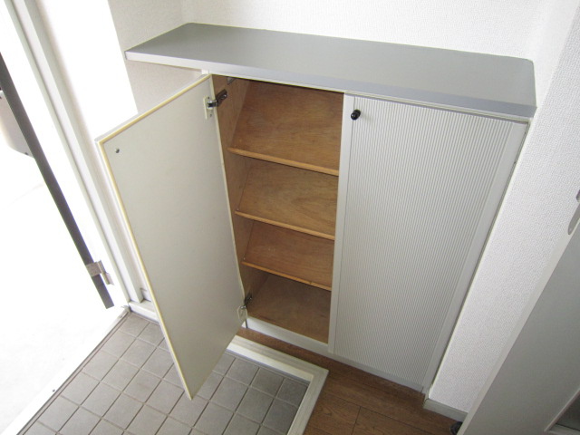 Entrance. Cupboard with