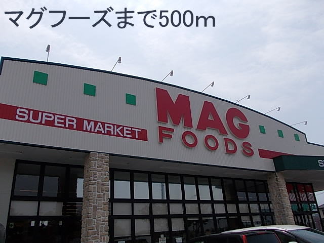 Supermarket. 500m to Magufuzu (super)