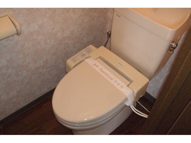 Toilet. Isomorphic type