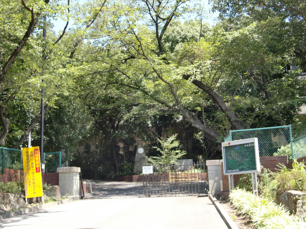 Junior high school. 826m to Okazaki City hollyhock junior high school (junior high school)