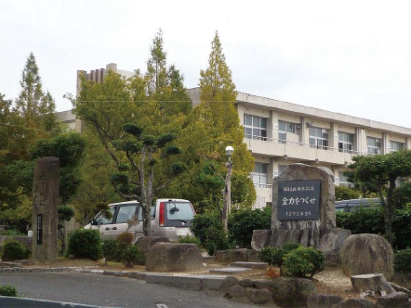 Primary school. 639m up to elementary school Okazaki Tatsukon stone