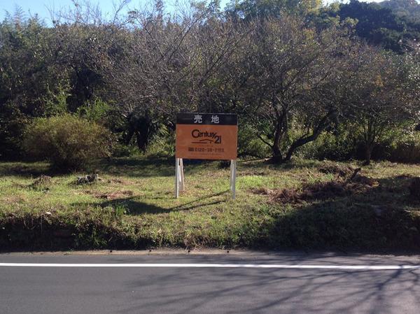 Local land photo