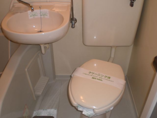 Toilet