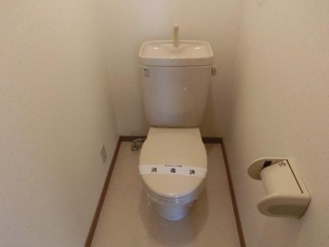 Toilet. WC