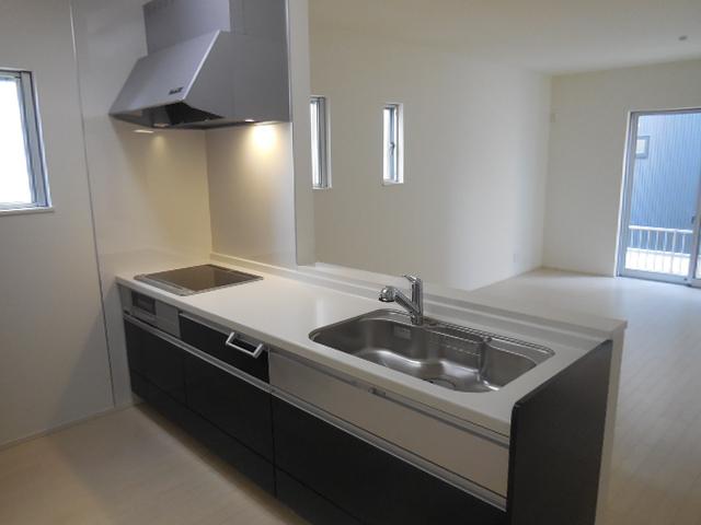 Kitchen. Indoor (12 May 2013) Shooting