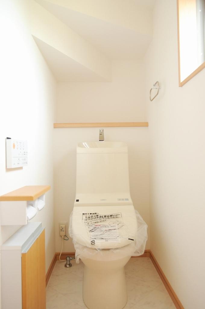 Toilet. 1st floor Toilet that was used without waste under the stairs (October 2013 shooting)