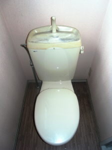 Toilet