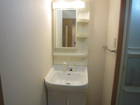 Washroom. Bathroom Vanity