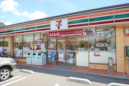 Other. 267m to Seven-Eleven Okazaki Nishikicho shop (Other)