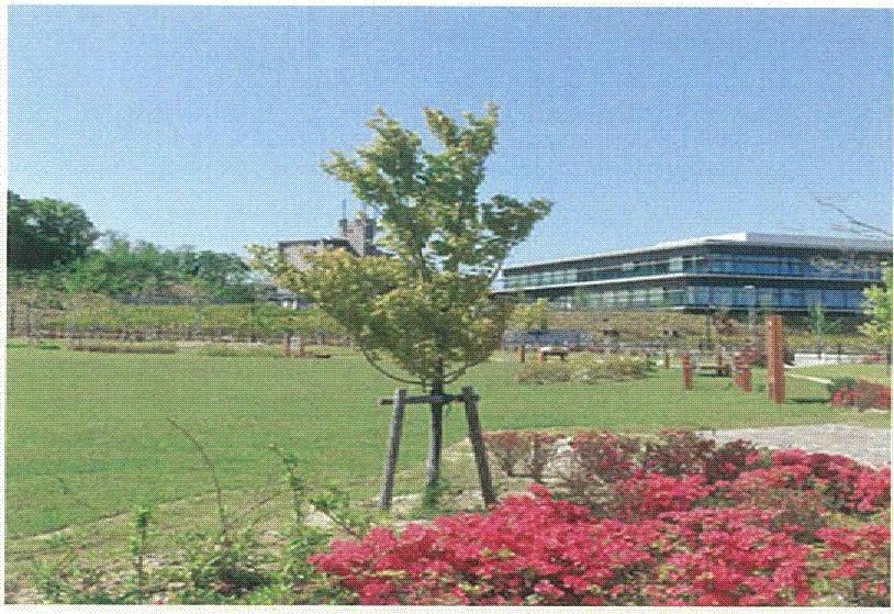 Sale already cityscape photo. In spring, 18 city blocks facing the dyed in beautiful pink "Harusaki Sakura Park". Is the peace of mind visible appearance of the children also from the garden (entrance)! 