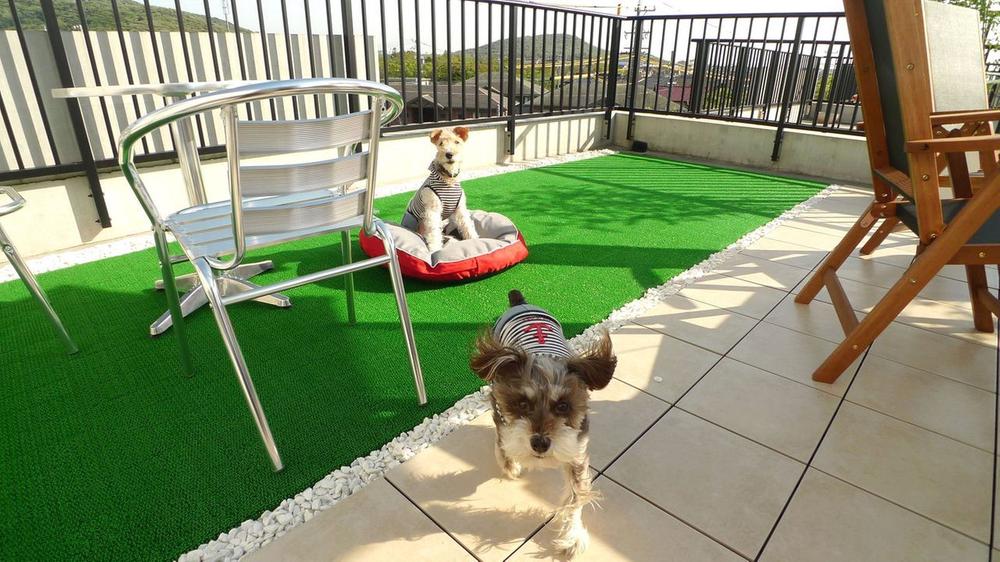 Same specifications photos (Other introspection). Large space rooftop balcony of more than 20 Pledge. You can also used as a dog run. 