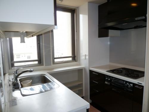 Kitchen. Shaped kitchen of functional co.