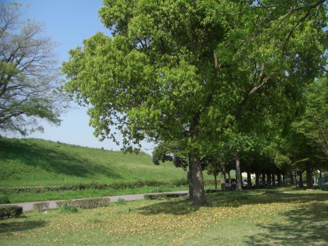 park. Tsutsumi park