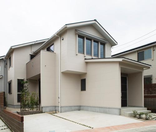 Local appearance photo. C Togaikan