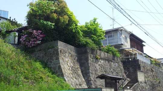 Local land photo. Exterior (1)