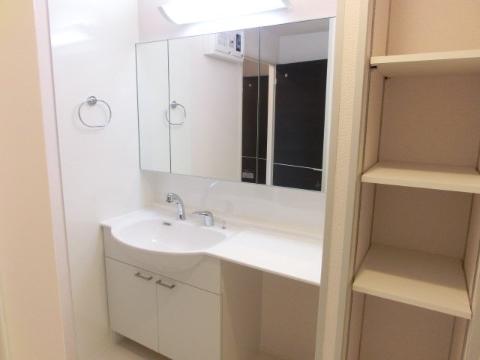 Washroom. Bathroom Vanity