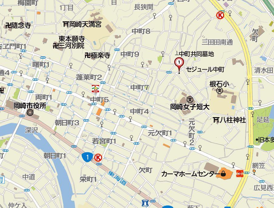 Local guide map