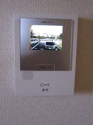 Security. TV monitor Hong