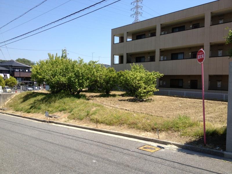 Local land photo