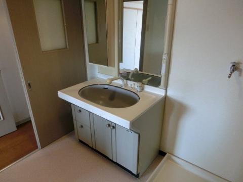 Washroom. Bathroom Vanity