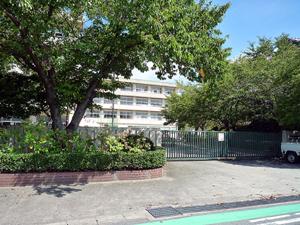 Primary school. 600m until the red beans Slope elementary school