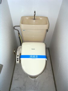 Toilet