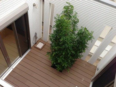 Building plan example (introspection photo). Trees were planted in the courtyard, You can feel familiar nature.  Do not mind neighbors of the line of sight, Full of light, It has achieved a well-ventilated space. 