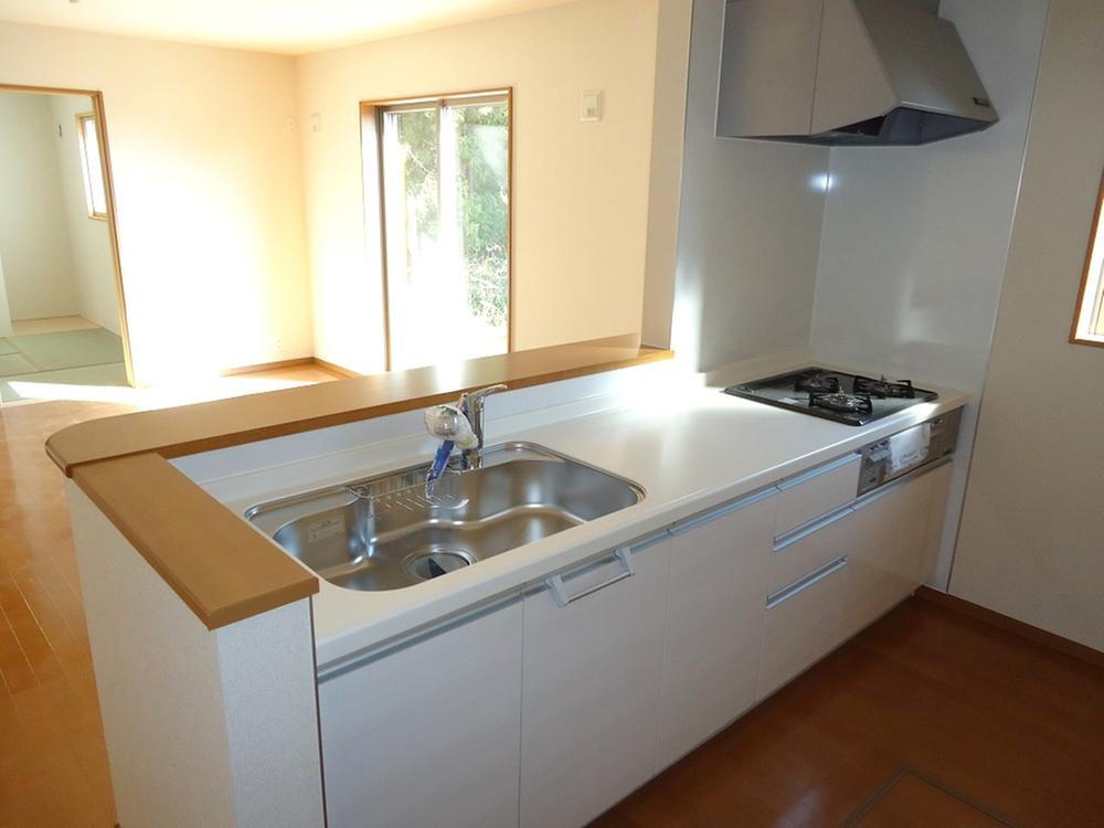 Kitchen. Indoor (12 May 2013) Shooting