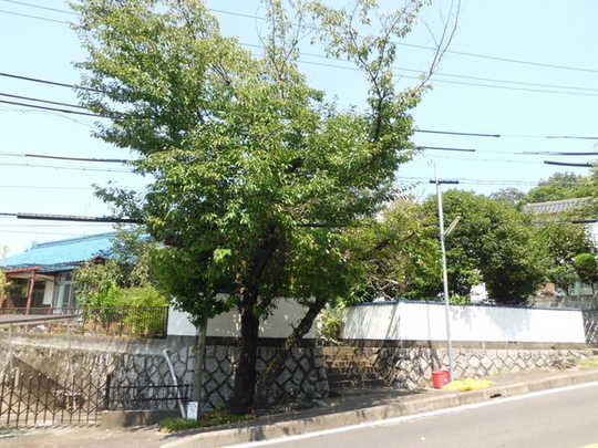 Local land photo