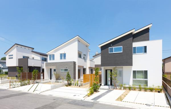 Local appearance photo. Local (July 2013) Shooting