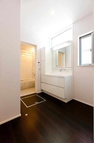 Wash basin, toilet. Indoor (July 2013) Shooting