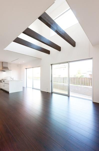 Living. Indoor (July 2013) Shooting