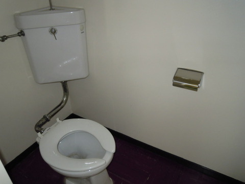 Toilet. Toilet