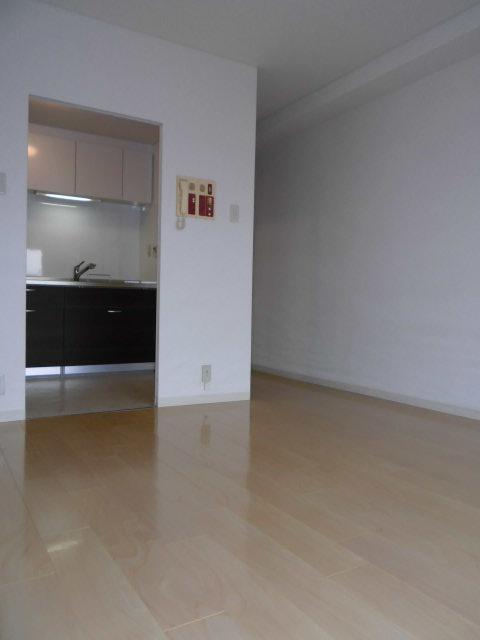 Living. Room (May 2013) Shooting