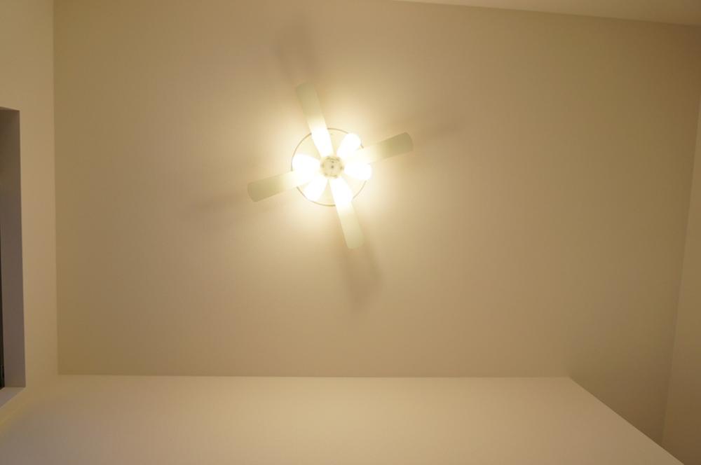 Other. Atrium (electric elevating ceiling fan)