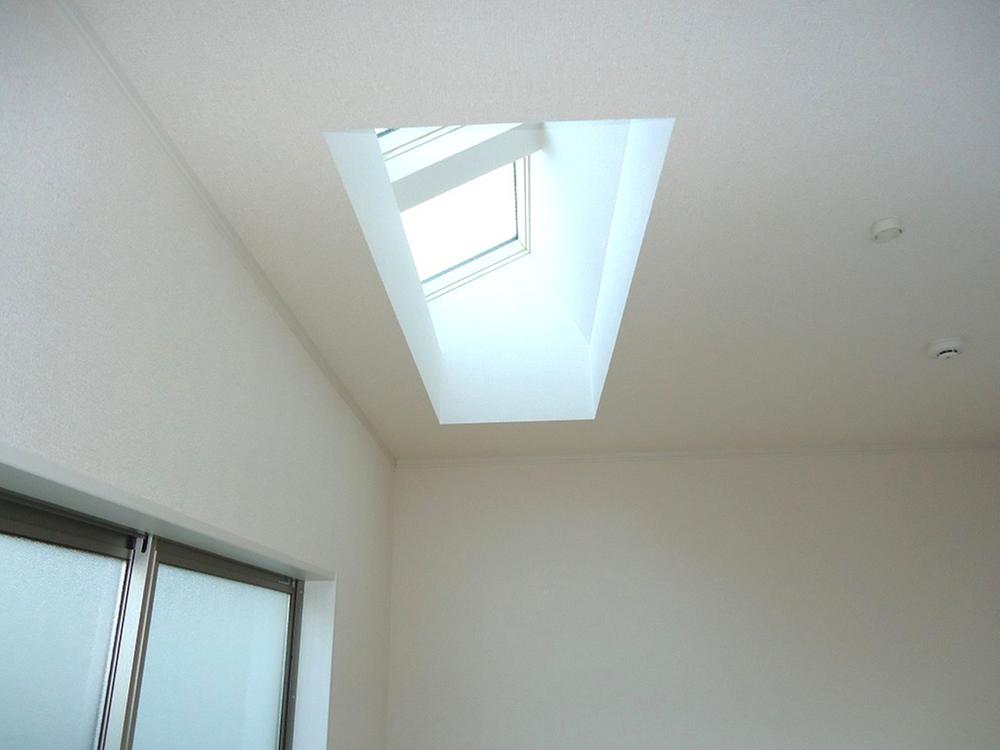 Other. Top light Indoor (12 May 2013) Shooting