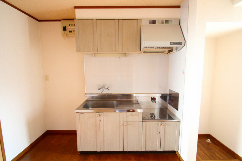 Kitchen. Clean kitchen.