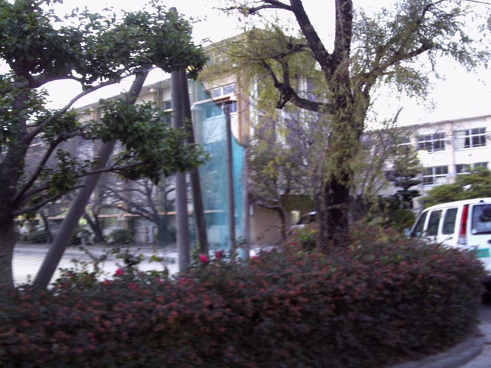 Junior high school. Owariasahi TatsuAsahi until junior high school 1807m