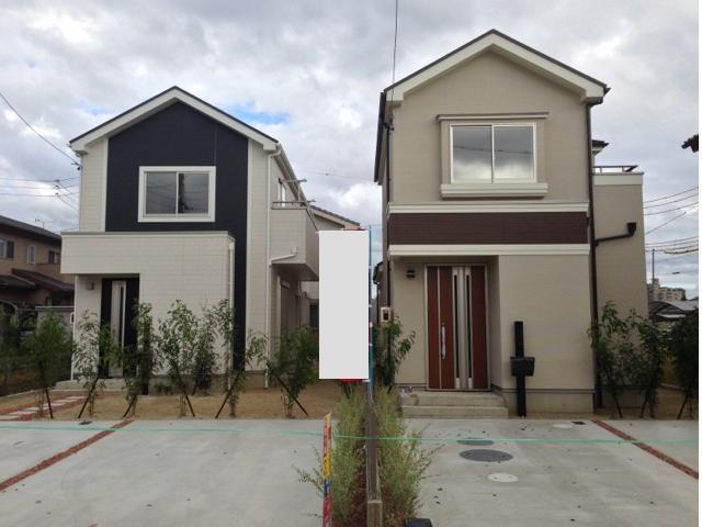 Local appearance photo. It has decided planting. 