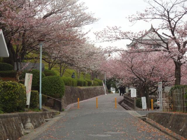 park. Shiroyama Park