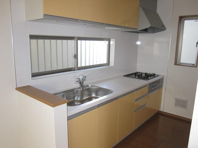 Same specifications photo (kitchen). Artificial marble counter use, With under-floor storage