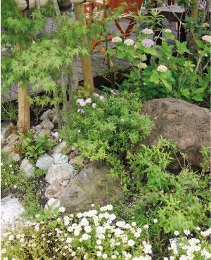 Other. "Five of the tree," plan "three because of the bird, 2 is loaded with I think "for butterfly, Familiar species and native species, Stick to native species, Sekisui House has been carefully selected to match the climate of the region. Planting of sales center