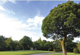 park. About 7 minutes in the 3300m car to Forest Park Spacious and especially up to green is deep, "local Forest" of native forests and 4ha of the park "wide lawn", Facilities enhancement for contact with nature, such as "Exhibition Hall" for the purpose of forest learning. 