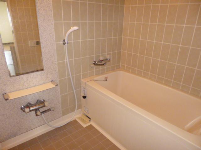 Bathroom. Room (August 2013) Shooting