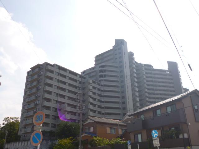 Local appearance photo. Local (August 2013) Shooting