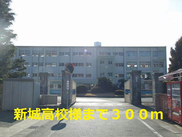 high school ・ College. Xincheng High School (High School ・ National College of Technology) 300m to